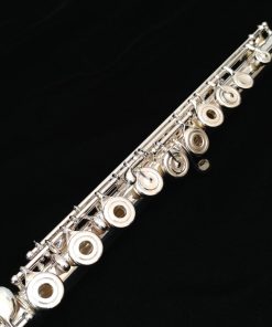 Amadeus 580 Flute by Haynes