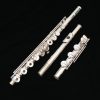 Amadeus 580 Flute by Haynes