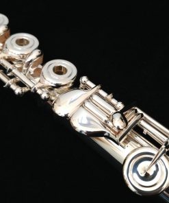 Amadeus 580 Flute by Haynes