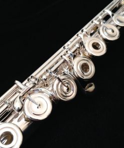 Amadeus 680 Flute by Haynes