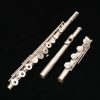 Amadeus 680 Flute by Haynes