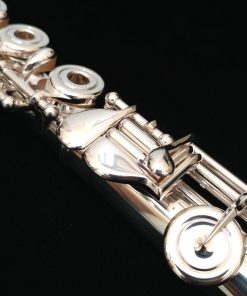 Amadeus 680 Flute by Haynes