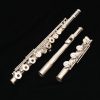 Amadeus 780 Solid Silver Flute by Haynes