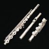 Haynes Q1 Flute