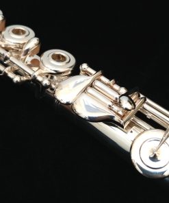 Haynes Q1 Flute