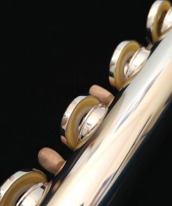 Haynes Q1 Flute - Pisoni S2 Pads