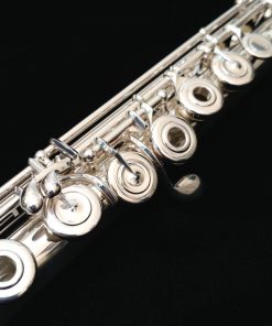 Haynes Q2 Solid Silver Flute - Shown with Options