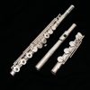Haynes Q2 Solid Silver Flute - Shown with Options