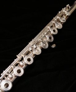 Di Zhao Handmade Flute - D-Series SP Model