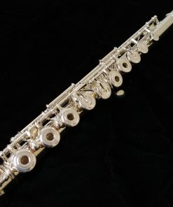 Pearl Quantz 665 Flute with Rose Gold Forza Headjoint
