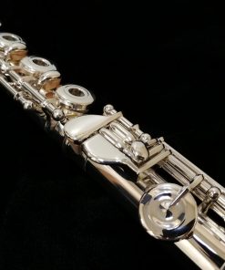Pearl Quantz 665 Flute with Rose Gold Forza Headjoint