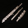 Powell Signature Series Flute