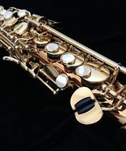 Yanagisawa SWO2 Bronze Soprano Sax - One Piece