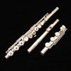 Pearl 525 Quantz Flute with Brezza Headjoint - PF-B525-RBE