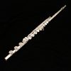 Pearl 665 Flute with C# Trill and Brezza Headjoint