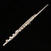Pearl 765 Solid Silver Flute with C# Trill & Brezza Headjoint