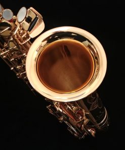 Yamaha Custom EX Alto Sax - YAS-875EXII
