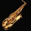 Yamaha Custom EX Alto Sax - YAS-875EXII