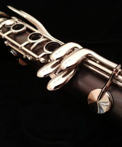 Yamaha Duet Clarinet - YCL-450NM