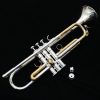 Yamaha Mariachi Trumpet - YTR-5330MRC