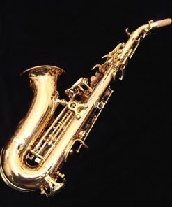 Yanagisawa SCWO20 Curved Soprano Sax