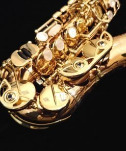Yanagisawa SCWO20 Curved Soprano Sax