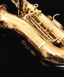 Yanagisawa SCWO20 Curved Soprano Sax