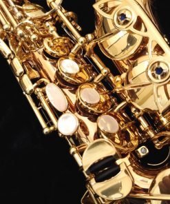 Yanagisawa SCWO20 Curved Soprano Sax