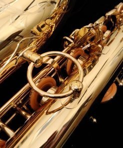 Yanagisawa BWO1 Professional Low A Bari Sax (replaced B901)