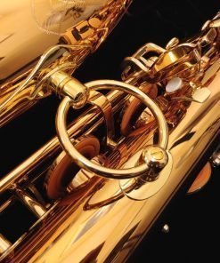 Yanagisawa BWO2 Bronze Bari Sax