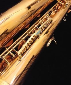 Yanagisawa BWO2 Bronze Bari Sax