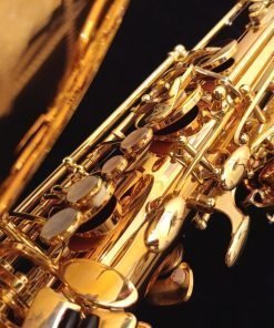 Yanagisawa BWO2 Bronze Bari Sax