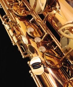 Yanagisawa BWO2 Bronze Bari Sax