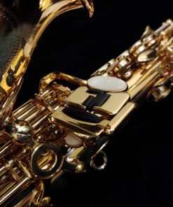 Yanagisawa SCWO10 Curved Soprano Sax - WO Series