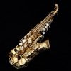 Yanagisawa SCWO10 Curved Soprano Sax - WO Series