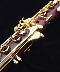 Backun Protege Clarinet - Cocobolo with Gold Keys