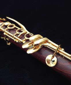 Backun Protege Clarinet - Cocobolo with Gold Keys