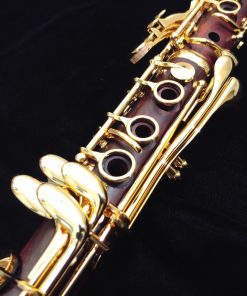 Backun Protege Clarinet - Cocobolo with Gold Keys
