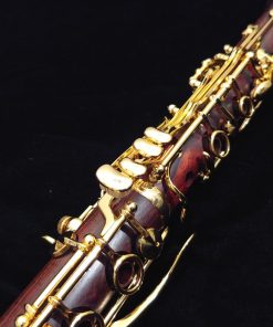 Backun Protege Clarinet - Cocobolo with Gold Keys