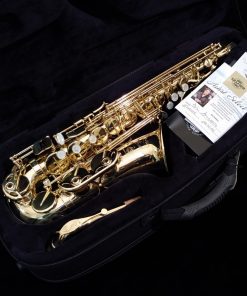 Jim Snidero Picked SeleS by Selmer Paris - AXOS Alto Sax