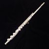 Store Used Demo Powell Sonare 705 Flute
