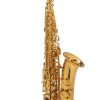 Selmer Paris 24k Gold Plated Supreme Alto Sax