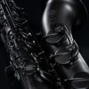 Selmer Paris 2025 Limited Edition Supreme Tenor Sax - Guards