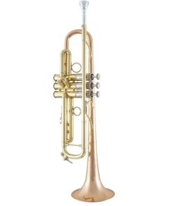 Bach Mariachi Trumpet - Bach LR190 Stradivarius