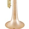 Bach Mariachi Trumpet - Bach LR190 Stradivarius - Engraving