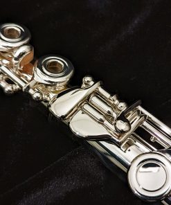 Di Zhao 701 Series Flute - Pinky Keys