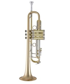 Bach 190L65GV Large Vindobona Stradivarius Trumpet - Back