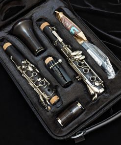 Backun Alpha Plus Wood Clarinet - Case Interior