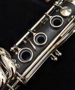 Backun Alpha Plus Wood Clarinet - Right Hand Rings