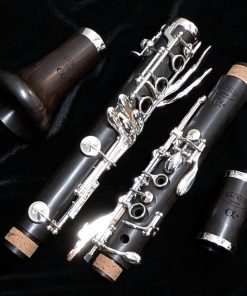 Backun Alpha Plus Wood Clarinet - Silver Keys with Eb Lever - Disassembled